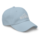 Limited Blue Dad hat
